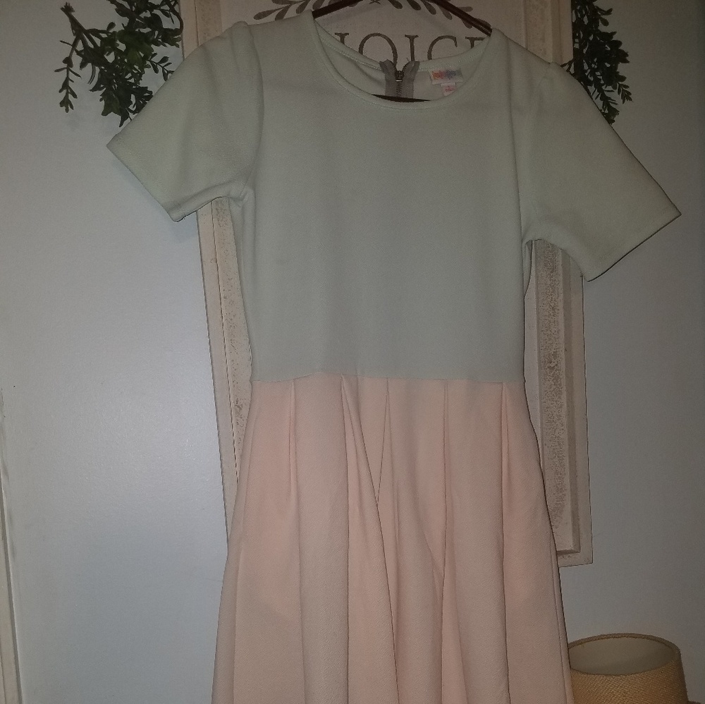 LulaRoe Amelia dress